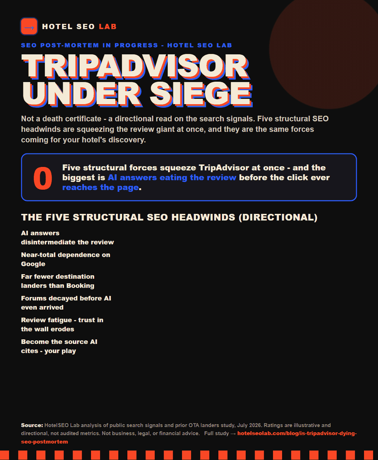 Animated infographic: is tripadvisor dying seo postmortem